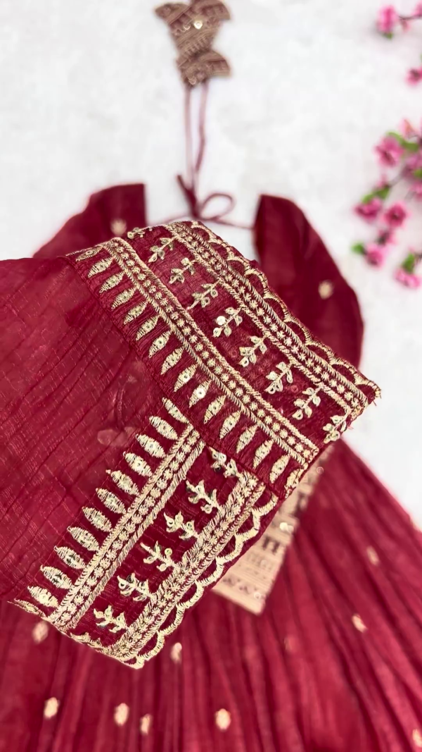 Crimson Red Silk-Blend Anarkali with Concentric Geometric Zari Border