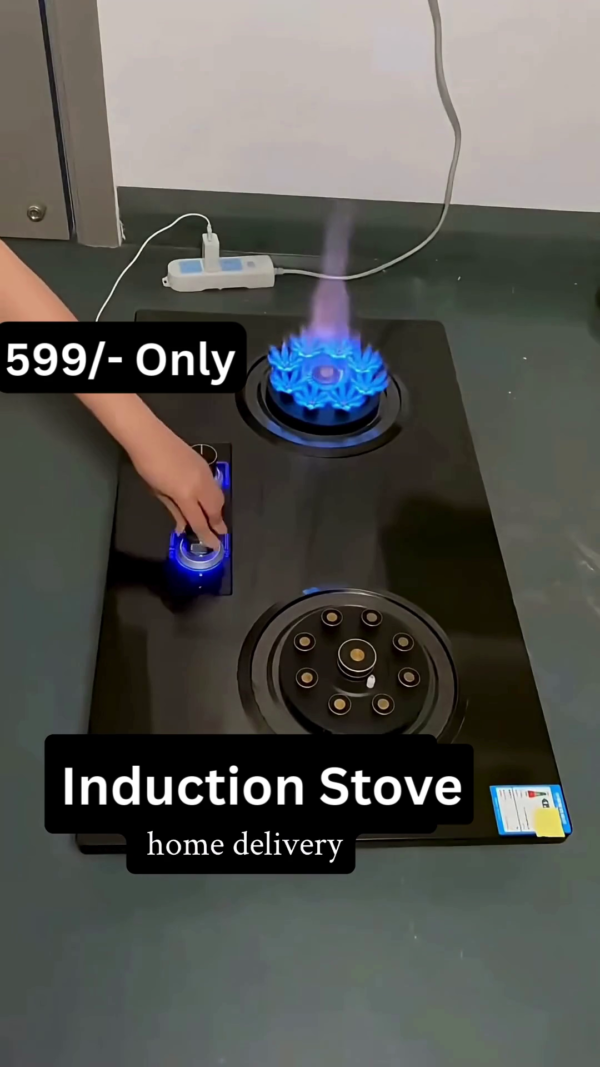 Dual Burner High-Efficiency Induction Stove