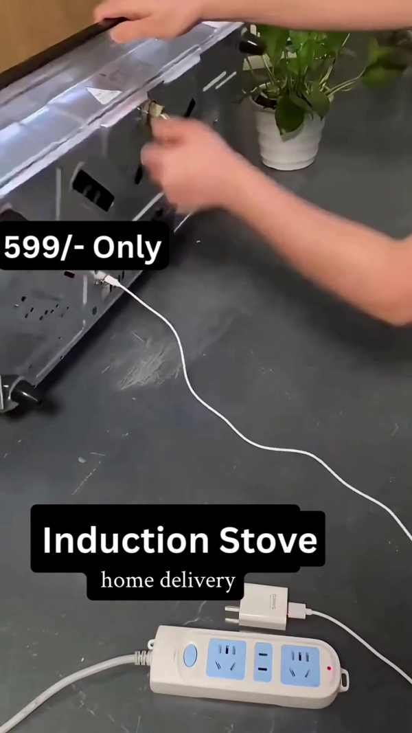 Dual Burner High-Efficiency Induction Stove